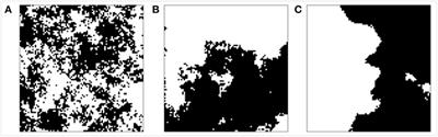 Disturbance Size Can Be Compensated for by Spatial Fragmentation in Soil Microbial Ecosystems